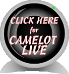 Camelot Webcam Left